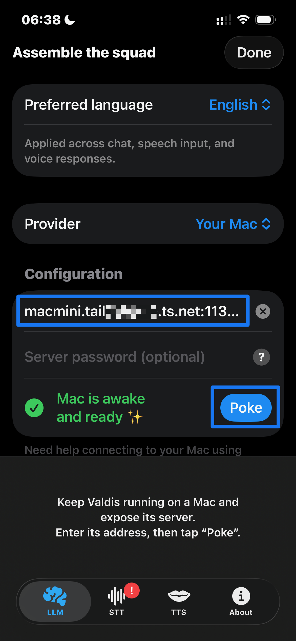 Paste the Serve endpoint into Valdis provider setup on iOS (dark mode)